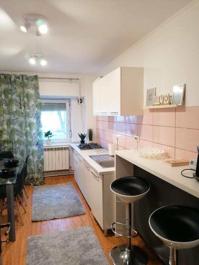 Masaryss Apartament 图尔恰 外观 照片